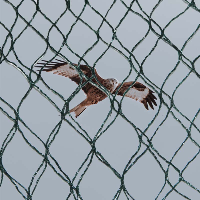 Који су избори материјала и предности и мане мрежа за заштиту од птица?