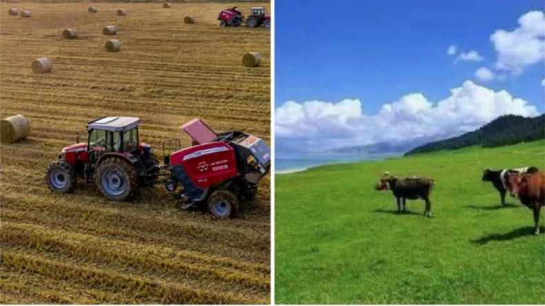 Примена мреже за бале у пољопривредним делатностима