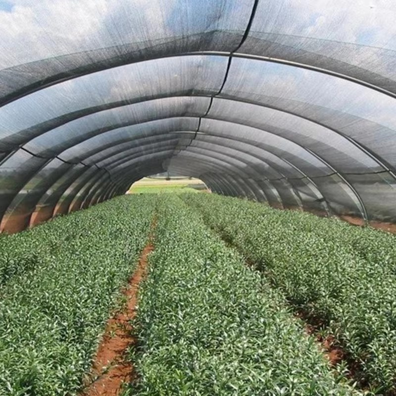 Да ли је ефекат хлађења тканине за сенку добар?