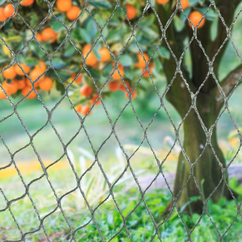 Заштитите своје усеве, имовину и инвестиције помоћу наше тешке мреже за птице!